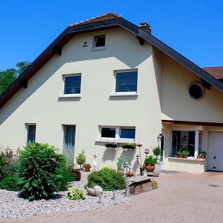 Grosszuegige Helle Ferienwohnung Bis 4 Personen In Chalampe, Elsass ภายนอก รูปภาพ